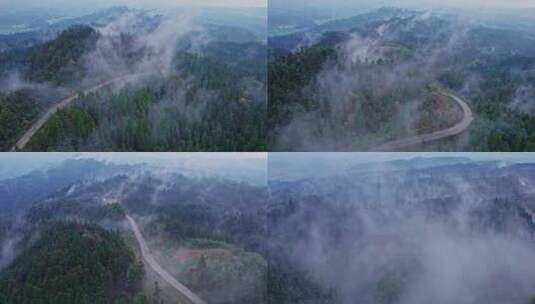 4k 航拍大自然森林云雾高清在线视频素材下载