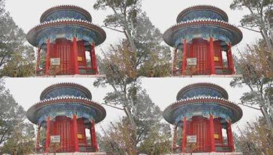 北京景山公园冬季下雪天风光高清在线视频素材下载