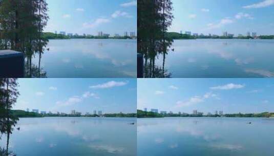 广州海珠湖公园蓝天白云与城市高楼建筑高清在线视频素材下载