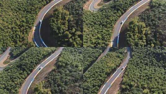 森林 公路 道路 绿色 风景  山路高清在线视频素材下载