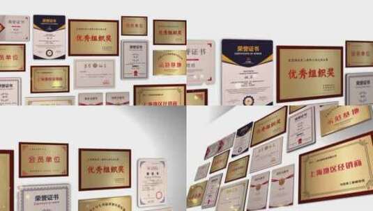 奖牌证书专利照片墙高清AE视频素材下载