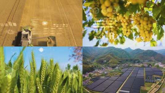 精品 · 智慧农业现代农业科技种植高清AE视频素材下载