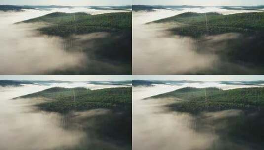 航拍视频 森林云雾高清在线视频素材下载