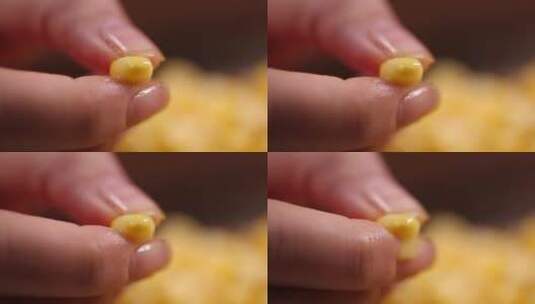 剥下的玉米粒玉米胚芽高清在线视频素材下载