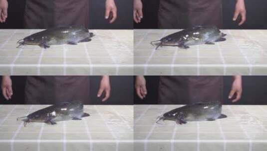 火锅清江鱼美食制作过程杀鱼展示高清在线视频素材下载