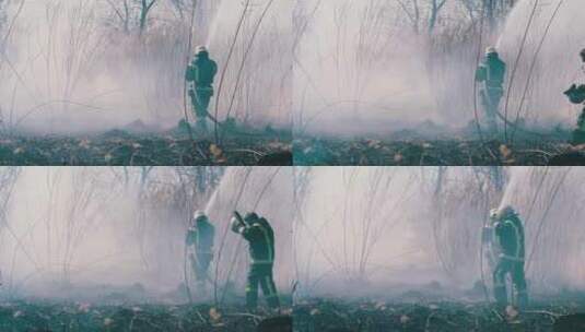 消防队员扑灭森林中的一场大火高清在线视频素材下载