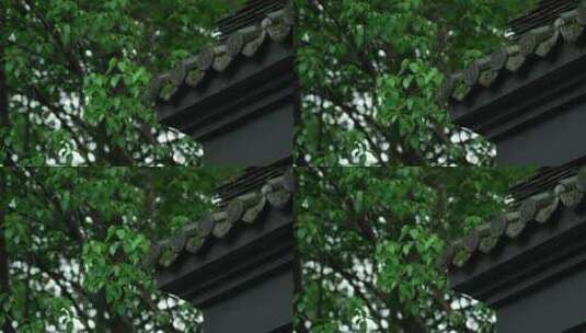 109 杭州 寺庙 古建筑 下雨天 屋檐 树枝高清在线视频素材下载