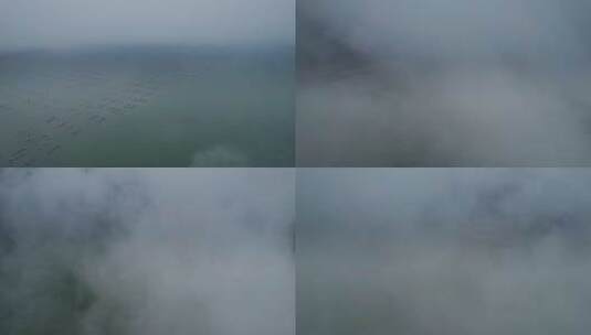 4k航拍深圳湾大桥高清在线视频素材下载