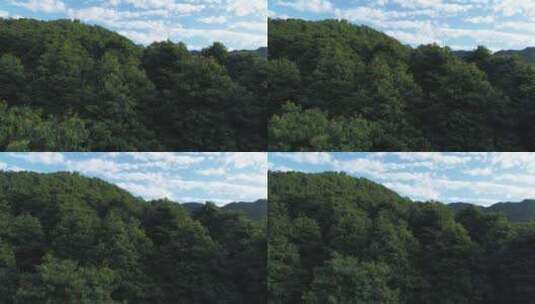 蓝天白云下青城山的山林高清在线视频素材下载