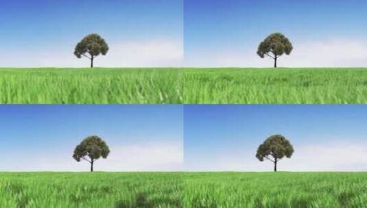 蓝天白云下绿色生态草地上一棵生长茂盛大树高清在线视频素材下载
