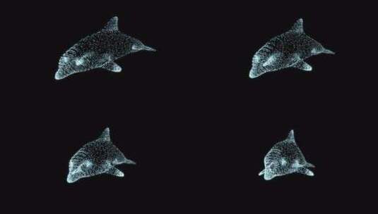 海豚粒子 唯美 发光海豚鲸鱼元宇宙粒子高清在线视频素材下载