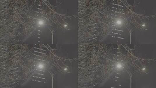 疫情武汉封城 雪 写字楼灯光 路灯 树枝 夜高清在线视频素材下载