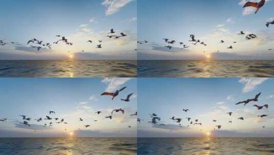 4K 海上天鹅群飞翔升格慢镜头高清在线视频素材下载
