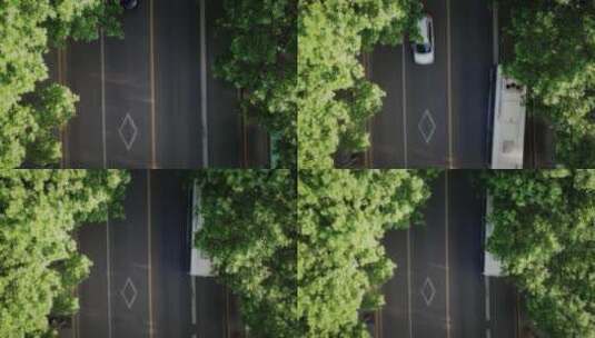 林中马路车流航拍视频高清在线视频素材下载