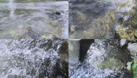 河边小溪水流高清在线视频素材下载