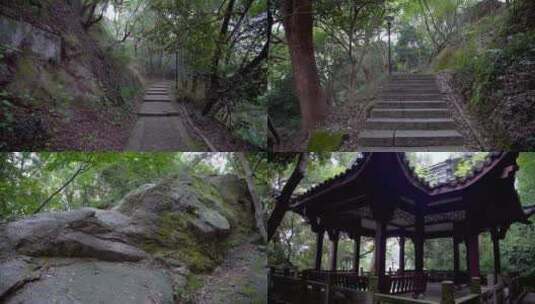 杭州西湖中山公园清行宫遗址4K视频合集高清在线视频素材下载