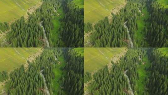 航拍 新疆树林河流（2）高清在线视频素材下载