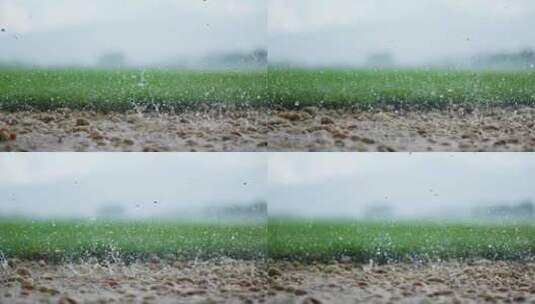 雨水落在草地前的石头上高清在线视频素材下载