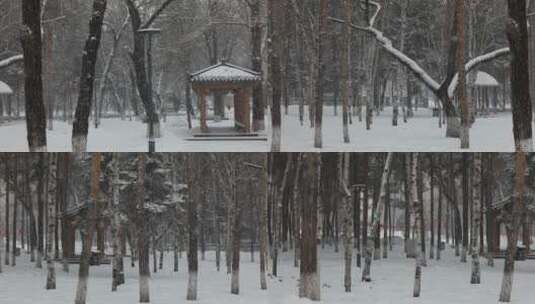 公园飘雪雪景高清在线视频素材下载