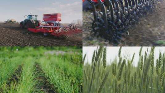 小麦麦田丰收农业粮食粮仓麦子麦粒播种种子高清在线视频素材下载