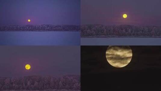 月亮月夜夜景夜色户外大自然森林树林高清在线视频素材下载