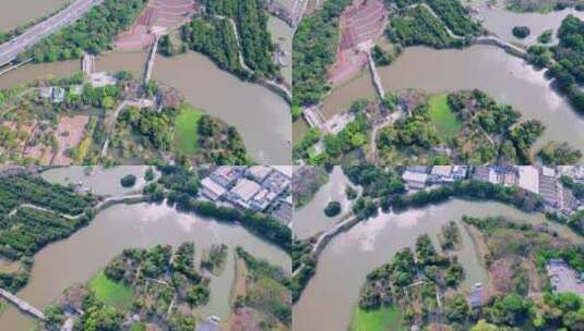 广州海珠国家湿地公园绿树河流航拍风光高清在线视频素材下载