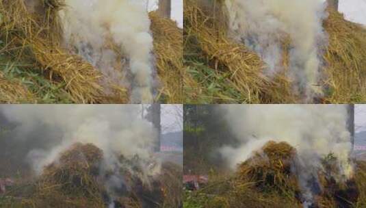 稻草秸秆焚烧烟雾缭绕污染环境高清在线视频素材下载