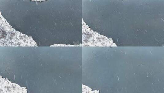 春雪风吹雪俯拍湿地水塘候鸟野鸭子高清在线视频素材下载