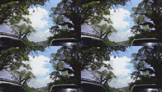 蓝天白云绿树唯美自然风光高清在线视频素材下载