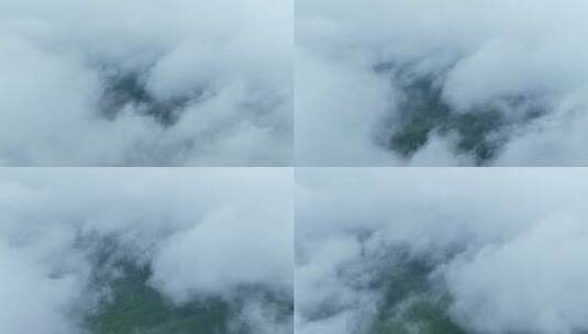 航拍森林穿云破雾素材高清在线视频素材下载
