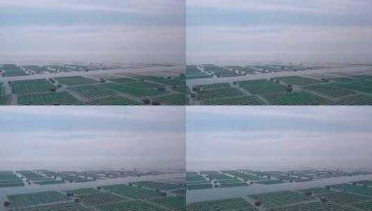 4k航拍山东烟台芝罘区水产养殖高清在线视频素材下载