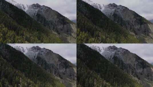 白雪覆盖的山脉和森林高清在线视频素材下载