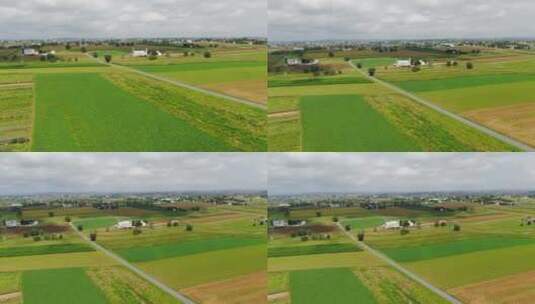 上升的航拍揭示了美国阿米什国家宾夕法尼亚州兰开斯特县的农田，绿色的田野高清在线视频素材下载