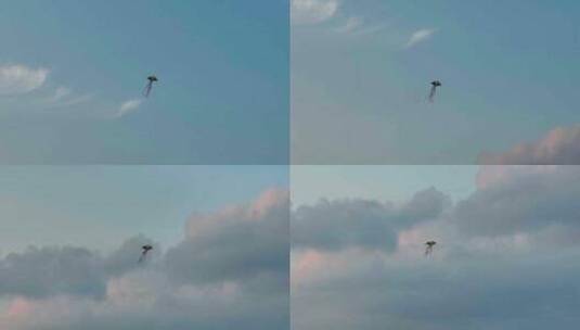 风筝在天空中迎风飞翔高清在线视频素材下载