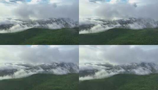 航拍大兴安岭山林云雾缭绕高清在线视频素材下载