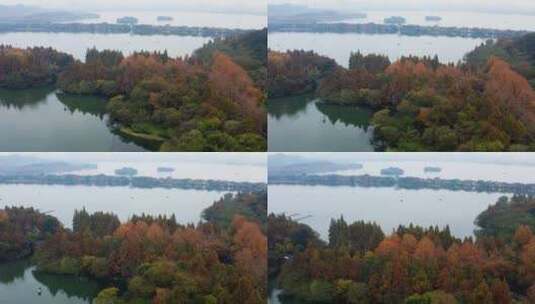 杭州西湖杨公堤秋季风光高清在线视频素材下载