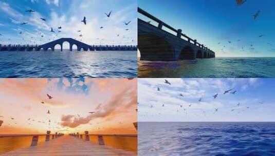 大海桥上漫天飞舞的海鸥高清在线视频素材下载