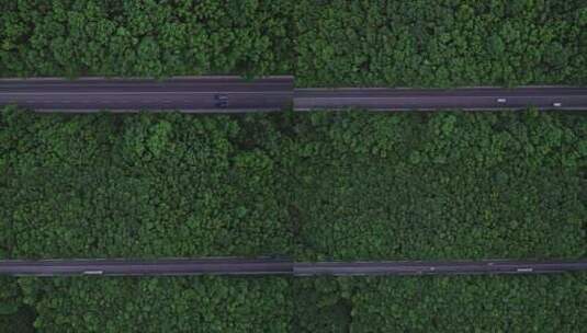 汽车行驶在平行的森林道路上高清在线视频素材下载