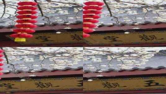 （慢镜）杭州法喜寺白玉兰牌匾灯笼竖版高清在线视频素材下载
