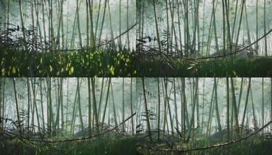个人原创4K商用无忧国风竹林场景高清在线视频素材下载