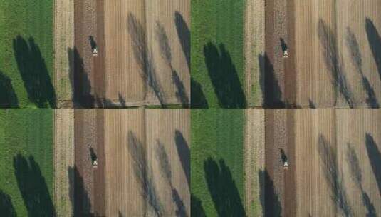 农用拖拉机带苗床耕作机在农田耕地上的鸟瞰高清在线视频素材下载