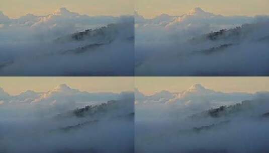 雾，树，云，雨林高清在线视频素材下载