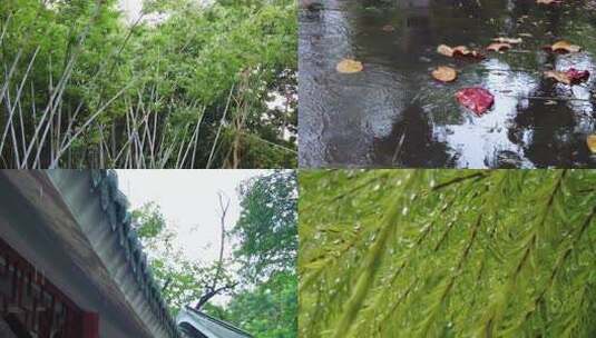 下雨天雷雨天气视频高清在线视频素材下载