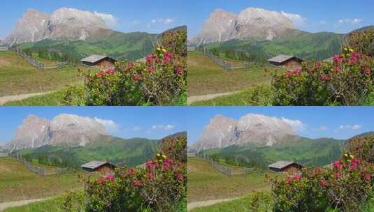 山坡 风光 美景 梦幻 唯美高清在线视频素材下载