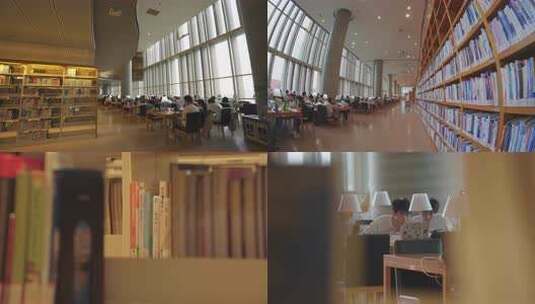 图书馆学习看书 书的海洋 阅读高清在线视频素材下载