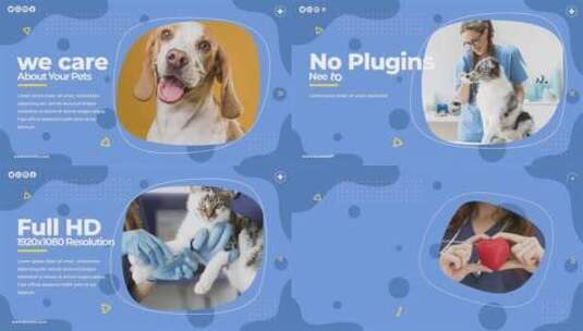 宠物护理和治疗中心宣传介绍AE模板高清AE视频素材下载