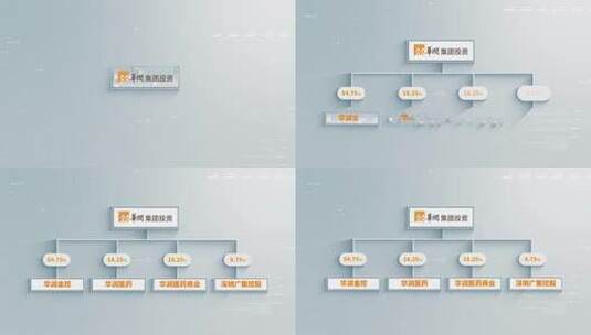 股权架构分类模板高清AE视频素材下载