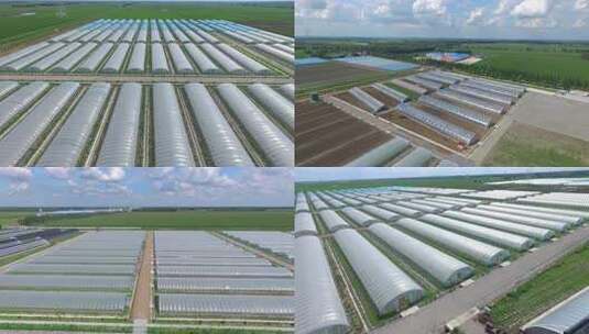 航拍三农业现代化大棚基地水稻育秧蔬菜大棚高清在线视频素材下载