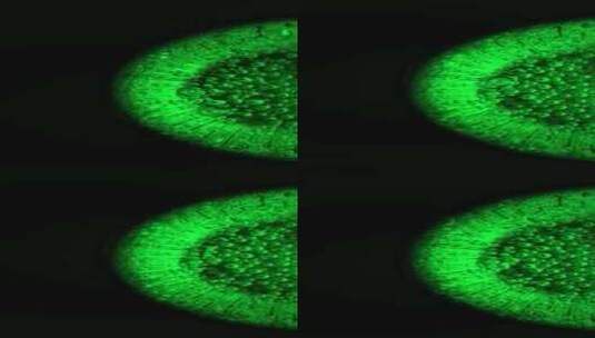 绿光下冒泡液体的特写高清在线视频素材下载