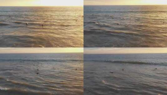 冲浪者在威尼斯海洋里冲浪高清在线视频素材下载
